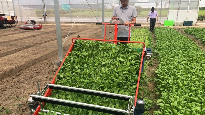 粮食烘干机操作使用全攻略：五大关键步骤解析**