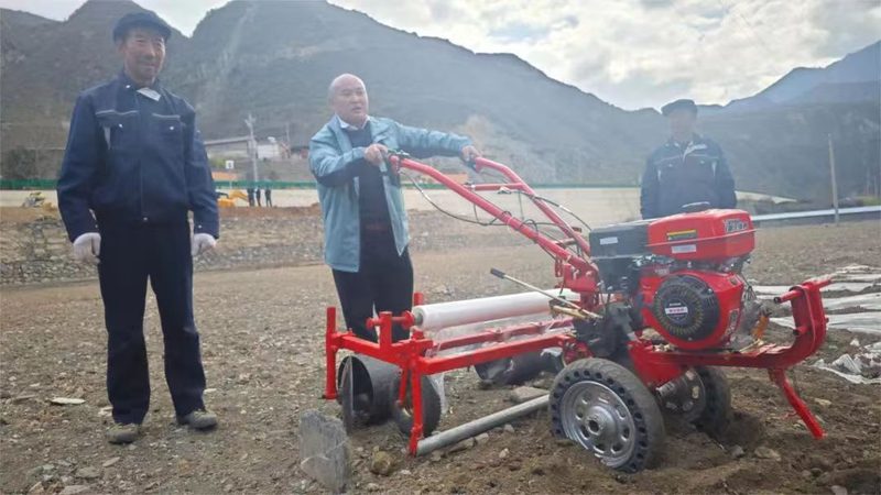 小型水稻插秧机如何挑选？揭秘选购要点