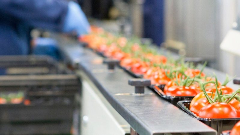 兔子饲料颗粒机：如何选择合适的生产厂家**